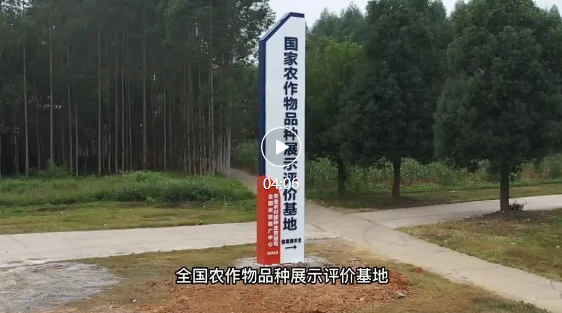 【宣传片】种子 &ldquo;芯片&rdquo; 赋能！天贵庄园解锁三产融合乡村振兴路
